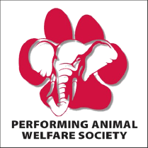 animal-society