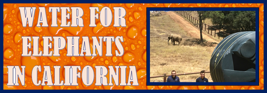 water-for-elephants