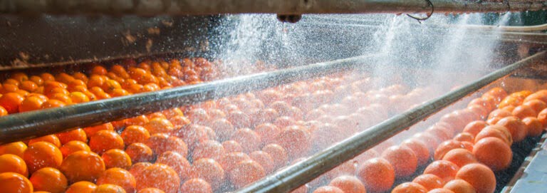 Food process industry