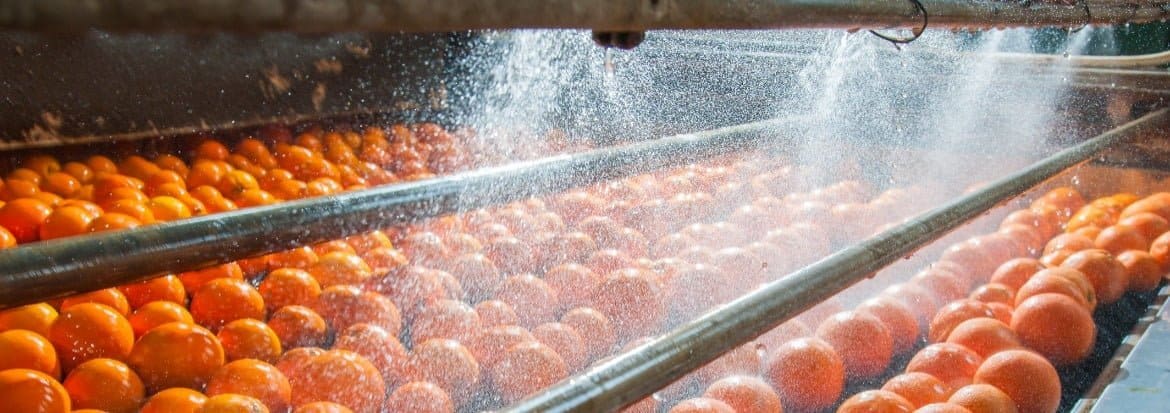 Food process industry