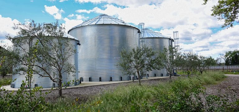 Corrugated steel water storage tanks surrounded by native landscaping and olive trees, designed for sustainable irrigation and rainwater harvesting